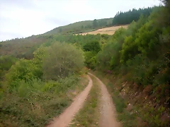 DSCN2339 DSCN2339