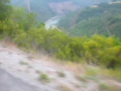 DSCN2372 DSCN2372