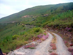 DSCN2341 DSCN2341