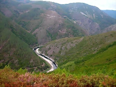 DSCN2340 DSCN2340