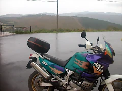 DSCN2380 DSCN2380