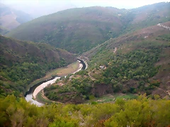 DSCN2343 DSCN2343