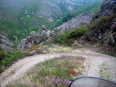 DSCN2350 DSCN2350