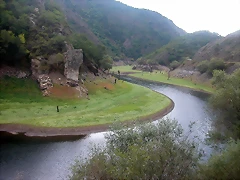 DSCN2364 DSCN2364