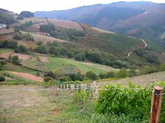 DSCN2332 DSCN2332