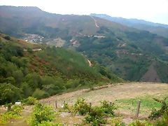 DSCN2327 DSCN2327