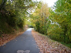 DSCN5946 DSCN5946