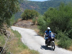 IMG_3603 IMG_3603