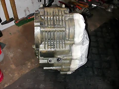 DSCN3950