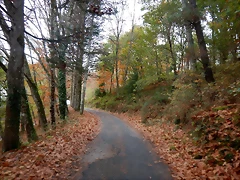 DSCN1243 DSCN1243