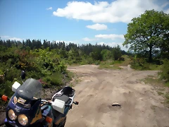DSCN5334 DSCN5334