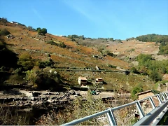 DSCN1573 DSCN1573