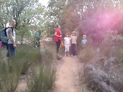 20150816_201536 20150816_201536