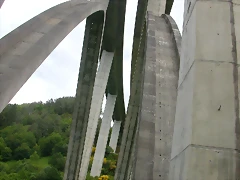 DSCN3698 DSCN3698