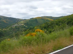 DSCN3730 DSCN3730