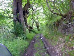 DSCN3711 DSCN3711