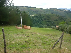 DSCN3735 DSCN3735