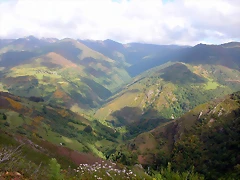 DSCN3799 DSCN3799