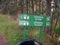 DSCN3765 DSCN3765