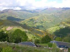 DSCN3805 DSCN3805