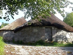 DSCN3834 DSCN3834