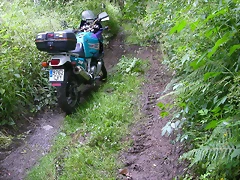DSCN3710 DSCN3710