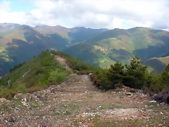 DSCN3785 DSCN3785