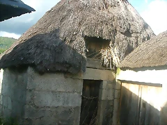 DSCN3833 DSCN3833