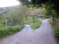 DSCN3886 DSCN3886