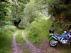 DSCN3718 DSCN3718