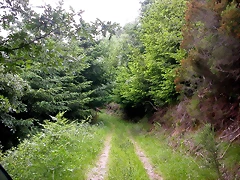 DSCN3721 DSCN3721