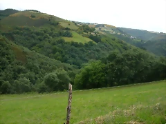 DSCN3741 DSCN3741