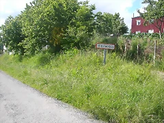 DSCN3763 DSCN3763