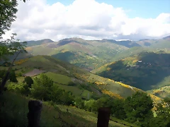 DSCN3809 DSCN3809