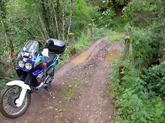 DSCN3712 DSCN3712
