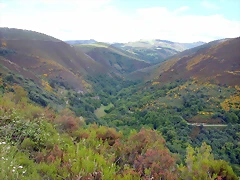 DSCN3758 DSCN3758