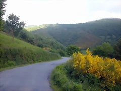 DSCN3849 DSCN3849