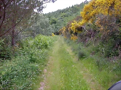 DSCN3720 DSCN3720