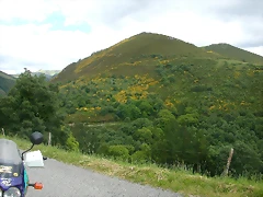 DSCN3740 DSCN3740