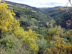 DSCN3748 DSCN3748