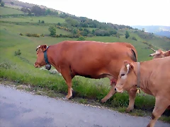 DSCN3881 DSCN3881