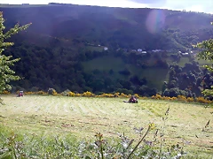 DSCN3767 DSCN3767