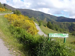 DSCN3772 DSCN3772