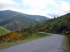 DSCN3818 DSCN3818