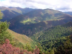 DSCN3781 DSCN3781