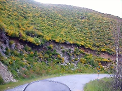 DSCN3796 DSCN3796