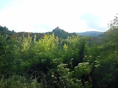 DSCN3893 DSCN3893