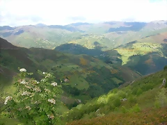 DSCN3786 DSCN3786