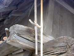 DSCN3836 DSCN3836