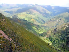 DSCN3795 DSCN3795